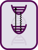 Jablonski diagram showing spin states